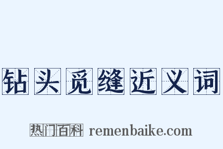 钻头觅缝近义词是什么意思的图片